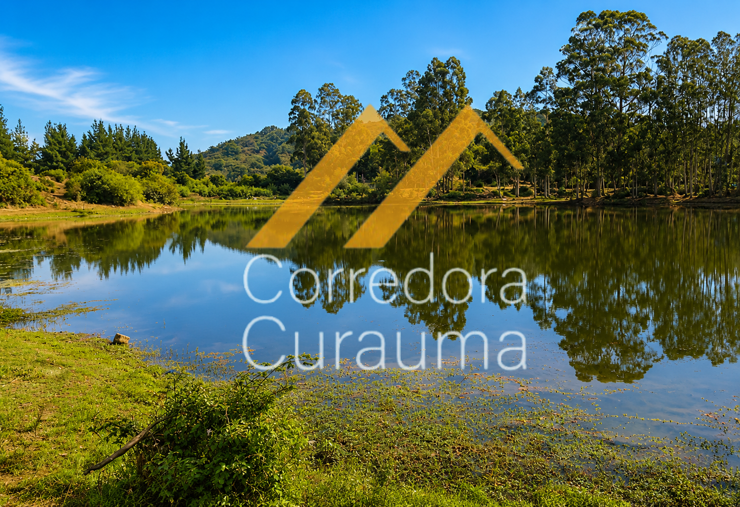 VENDE CORREDORA CURAUMA – SITIOS DE 1.000 M² EN FUNDO LAS MERCEDES, CURAUMA – VALPARAÍSO